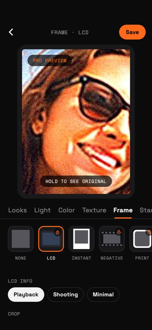 Editor with LCD playback frame